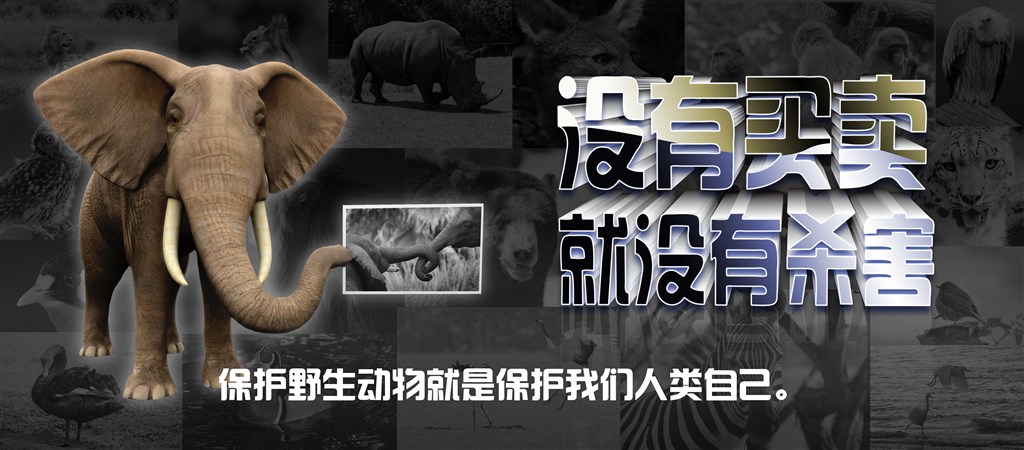 AG真人娱乐- AG真人平台(集团)官方网站