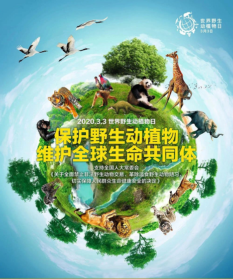 AG真人娱乐- AG真人平台(集团)官方网站