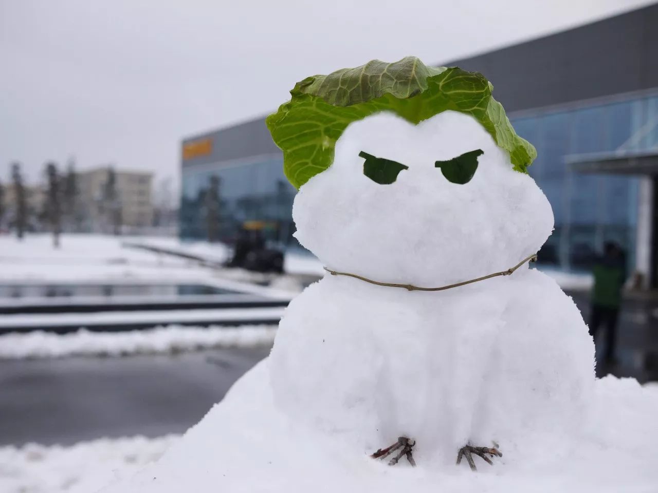 首页- 人生就是博中国官网入口